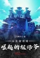 从无敌领域崛起的祖师爷从哪可以看