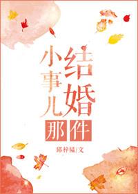 结婚这件小事全文阅读