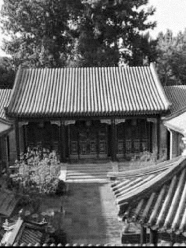 四合院:王大力的快乐生活