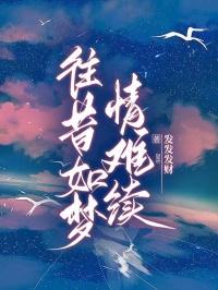 往昔如梦,情难续