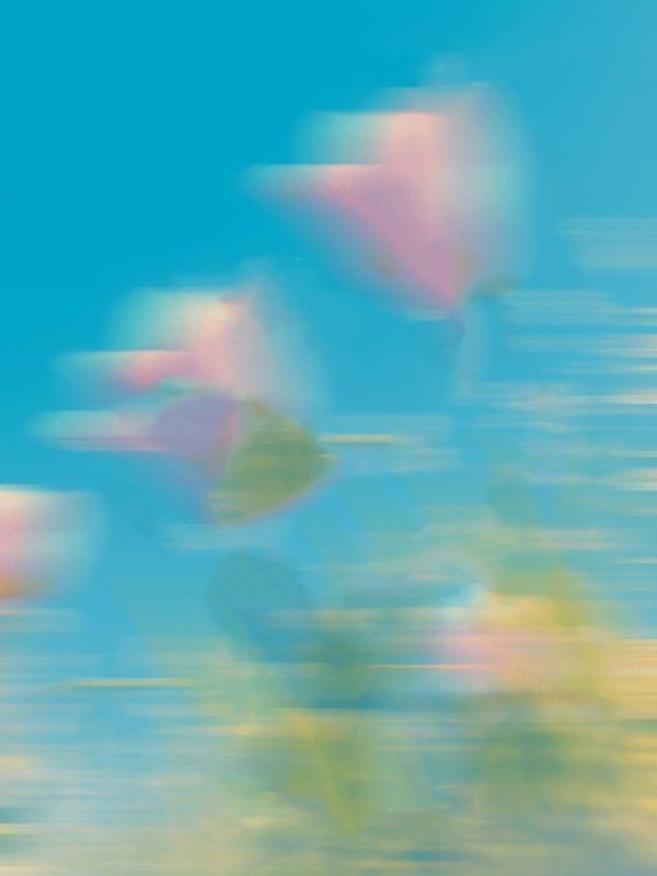 我妈说我不懂人情世故